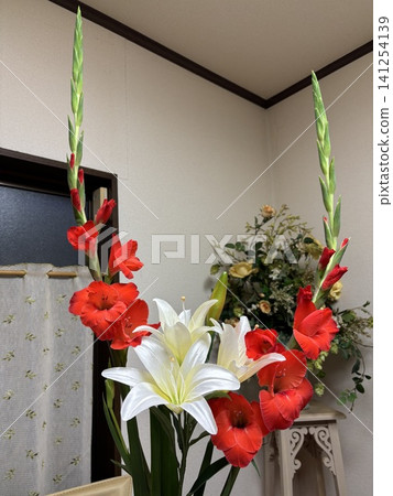 劍蘭 劍蘭 141254139