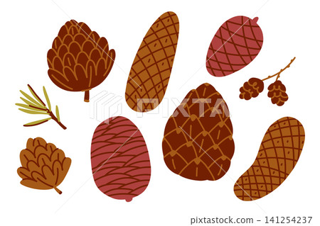 Hand Drawn Pine Cone Collection, Forest Botanical Illustration with Conifer Cones, Evergreen Branches and Woodland Nature Elements Hand Drawn Pine Cone Collection, Forest Botanical Illustration with Conifer Cones, Evergreen Branches and Woodland Nature Elements 141254237