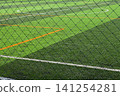 artificial green grass background with black net 141254281