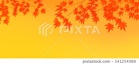 Background material of autumn maple leaves Background material of autumn maple leaves 141254369
