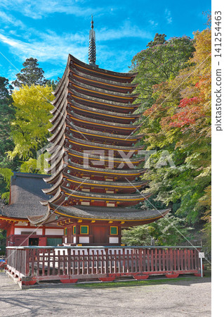 【丹山神社十三塔】奈良縣櫻井市田峰 【丹山神社十三塔】奈良縣櫻井市田峰 141254463