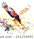 fly in the sky 141254495