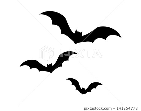 Bat silhouette_vector illustration Bat silhouette_vector illustration 141254778
