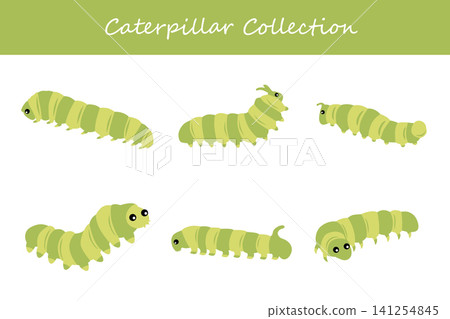 caterpillar collection. caterpillar in different poses caterpillar collection. caterpillar in different poses 141254845