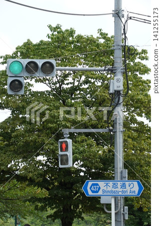 Summer greenery, a signpost on Shinobazu Street, and a green traffic light (Ikenohata, Tokyo) - Vertical composition Summer greenery, a signpost on Shinobazu Street, and a green traffic light (Ikenohata, Tokyo) - Vertical composition 141255173