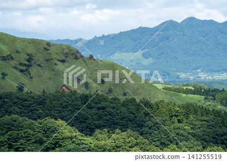 初夏時節，阿蘇山坡上綠意盎然，景色與山脊交相輝映。 141255519