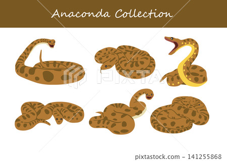 anaconda collection. anaconda in different poses anaconda collection. anaconda in different poses 141255868
