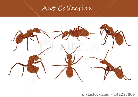ant collection. ant in different poses ant collection. ant in different poses 141255869