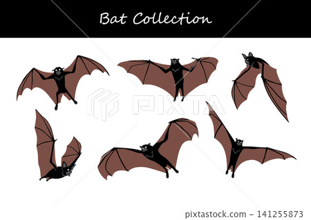 bat collection. bat in different poses bat collection. bat in different poses 141255873