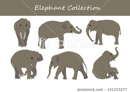 elephant collection. elephant in different poses 141255877