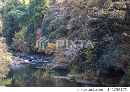 Kajishima, Morimachi, Shuchi District, Shizuoka Prefecture: Mountain village scenery Kajishima, Morimachi, Shuchi District, Shizuoka Prefecture: Mountain village scenery 141256175