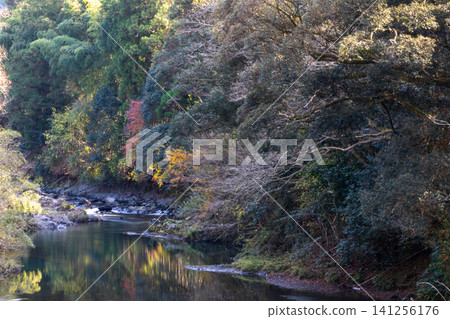 靜岡縣週知郡森町梶島:山村風景 靜岡縣週知郡森町梶島:山村風景 141256176
