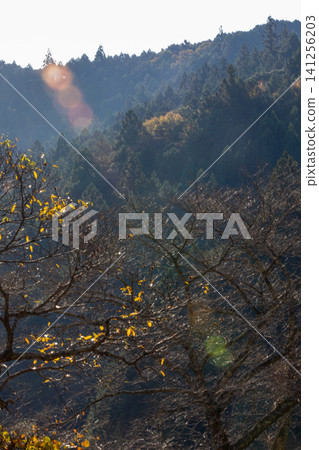 Kajishima, Morimachi, Shuchi District, Shizuoka Prefecture: Mountain village scenery Kajishima, Morimachi, Shuchi District, Shizuoka Prefecture: Mountain village scenery 141256203