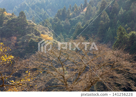 靜岡縣週知郡森町梶島:山村風景 靜岡縣週知郡森町梶島:山村風景 141256228