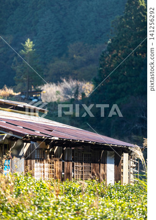 Kajishima, Morimachi, Shuchi District, Shizuoka Prefecture: Mountain village scenery Kajishima, Morimachi, Shuchi District, Shizuoka Prefecture: Mountain village scenery 141256292