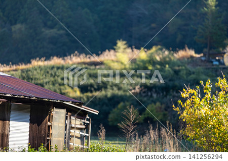 Kajishima, Morimachi, Shuchi District, Shizuoka Prefecture: Mountain village scenery 141256294