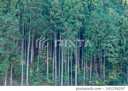 Kajishima, Morimachi, Shuchi District, Shizuoka Prefecture: Mountain village scenery Kajishima, Morimachi, Shuchi District, Shizuoka Prefecture: Mountain village scenery 141256297