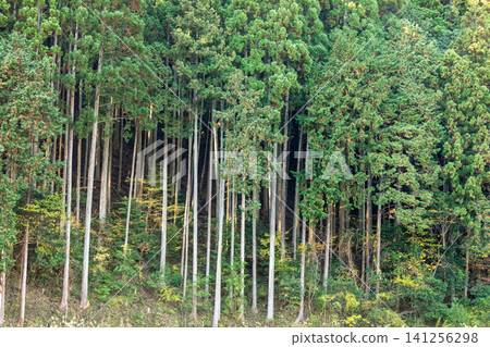 Kajishima, Morimachi, Shuchi District, Shizuoka Prefecture: Mountain village scenery Kajishima, Morimachi, Shuchi District, Shizuoka Prefecture: Mountain village scenery 141256298