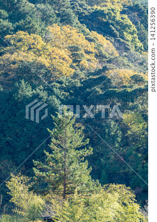 Kajishima, Morimachi, Shuchi District, Shizuoka Prefecture: Mountain village scenery Kajishima, Morimachi, Shuchi District, Shizuoka Prefecture: Mountain village scenery 141256390