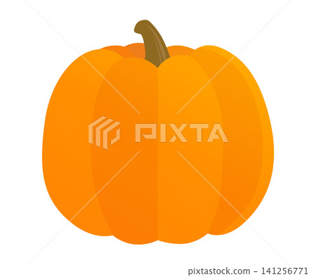 Orange pumpkin_vector illustration Orange pumpkin_vector illustration 141256771
