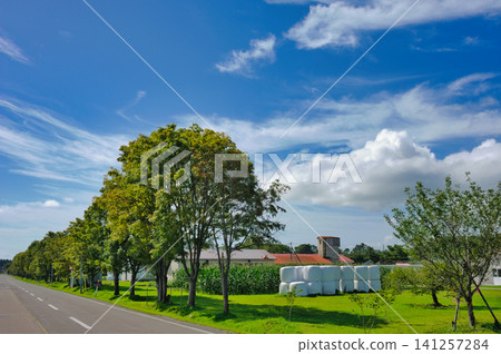 A farm road with a beautiful contrast of green and blue. A farm road with a beautiful contrast of green and blue. 141257284