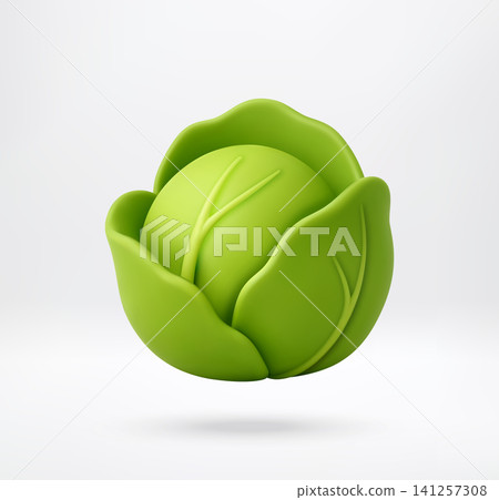 3D Fresh green head of cabbage 3D Fresh green head of cabbage 141257308