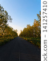 A road illuminated by the autumn sunset. 141257410
