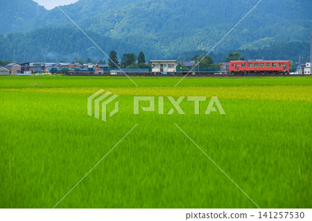 A local Kiha train runs through a rural area of lush green fields. A local Kiha train runs through a rural area of lush green fields. 141257530