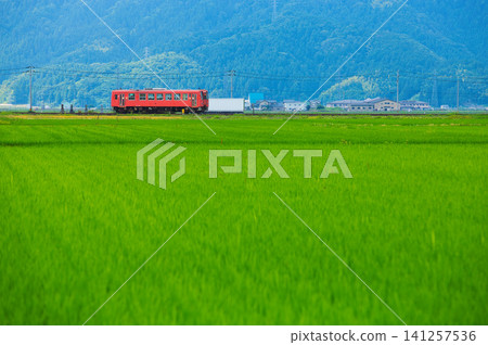 A local Kiha train runs through a rural area of lush green fields. A local Kiha train runs through a rural area of lush green fields. 141257536