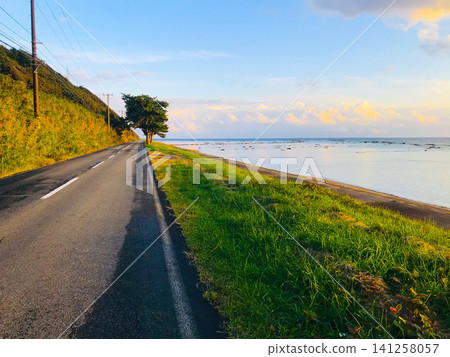 秋田,男鹿半島:黃昏時分,沿海公路沿著平靜的日本海延伸,一棵孤樹挺拔聳立。 秋田,男鹿半島:黃昏時分,沿海公路沿著平靜的日本海延伸,一棵孤樹挺拔聳立。 141258057