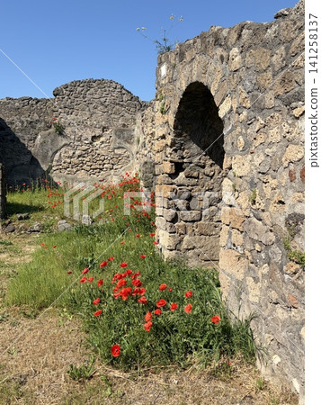 Pompeii Ruins - Ruins and Poppies (Flowers) - Italy - Pompeii Pompeii Ruins - Ruins and Poppies (Flowers) - Italy - Pompeii 141258137