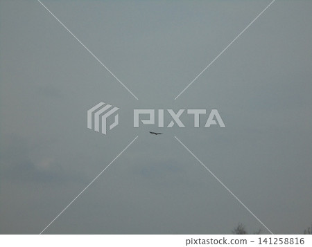 A silhouette of a bird flying very far and high on the sky A silhouette of a bird flying very far and high on the sky 141258816