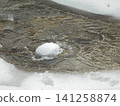 Cold water running between snow covered shores 141258874