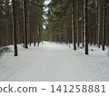 Beautiful forest scenery of the end of winter in Beskydy mountains in Czech 141258881