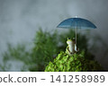 Frogs associated with the rainy season 141258989
