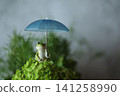 Frogs associated with the rainy season 141258990