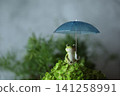 Frogs associated with the rainy season 141258991