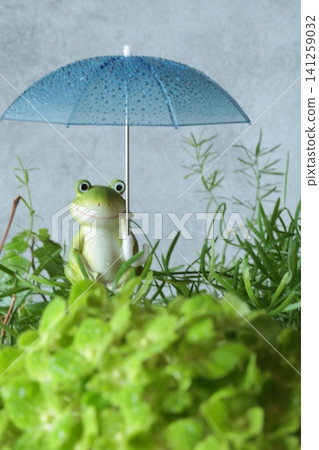 Frogs associated with the rainy season Frogs associated with the rainy season 141259032