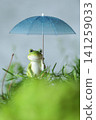 Frogs associated with the rainy season 141259033