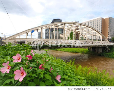岩手縣盛岡市北上川上的海雲橋 岩手縣盛岡市北上川上的海雲橋 141260266