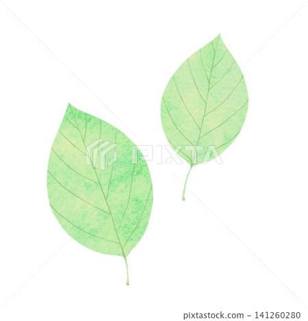 Watercolor-style illustration of green leaves Watercolor-style illustration of green leaves 141260280