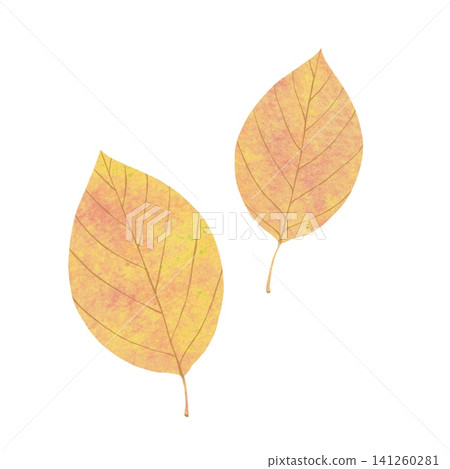 Watercolor illustration of autumn leaves Watercolor illustration of autumn leaves 141260281