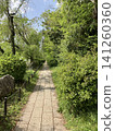 Promenade surrounded by fresh greenery 141260360
