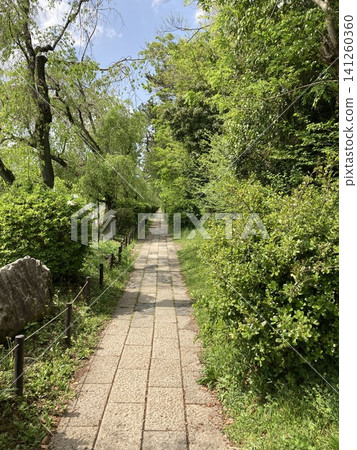 Promenade surrounded by fresh greenery 141260360