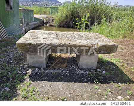 A stone platform stands beside a water management structure surrounded by green reeds on a Bomba rice farm in Pego. Nature is visible all around with plants and water. A stone platform stands beside a water management structure surrounded by green reeds on a Bomba rice farm in Pego. Nature is visible all around with plants and water. 141260461