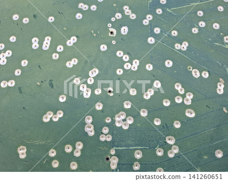 The scene shows a green metal target sheet showing many bullet entry holes. This represents shooting practice that takes place in a military training area. The scene shows a green metal target sheet showing many bullet entry holes. This represents shooting practice that takes place in a military training area. 141260651