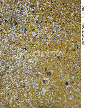 Bright yellow and orange lichen is growing on a rough concrete wall. The wall shows signs of weathering. This natural growth forms unique patterns across the surface. Bright yellow and orange lichen is growing on a rough concrete wall. The wall shows signs of weathering. This natural growth forms unique patterns across the surface. 141260653