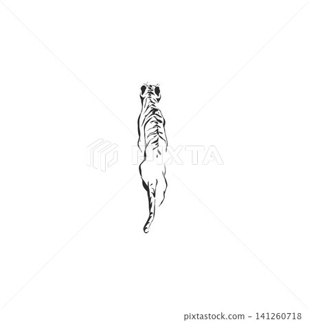 Hand drawn abstract vector graphic illustration collection with stylized line exotic tiger animals set design .Trendy modern exotic sketch animal concept.Vector nature tiger sketch symbol isolated. Hand drawn abstract vector graphic illustration collection with stylized line exotic tiger animals set design .Trendy modern exotic sketch animal concept.Vector nature tiger sketch symbol isolated. 141260718