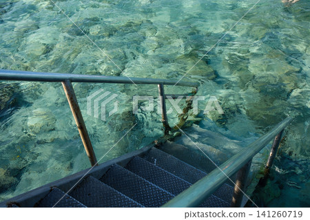 Metal staircase descends into clear turquoise water, revealing coral and rocks below, typical of a tropical marine setting Metal staircase descends into clear turquoise water, revealing coral and rocks below, typical of a tropical marine setting 141260719