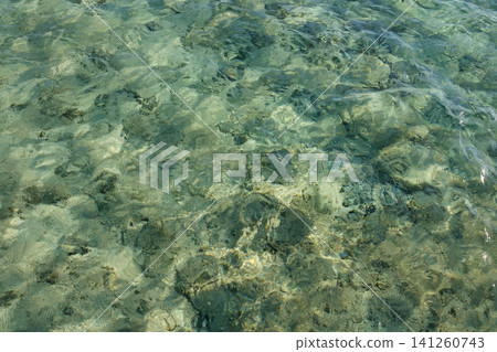 Clear turquoise water reveals coral formations and a sandy bottom, showcasing the vibrant underwater ecosystem in a tropical marine setting Clear turquoise water reveals coral formations and a sandy bottom, showcasing the vibrant underwater ecosystem in a tropical marine setting 141260743